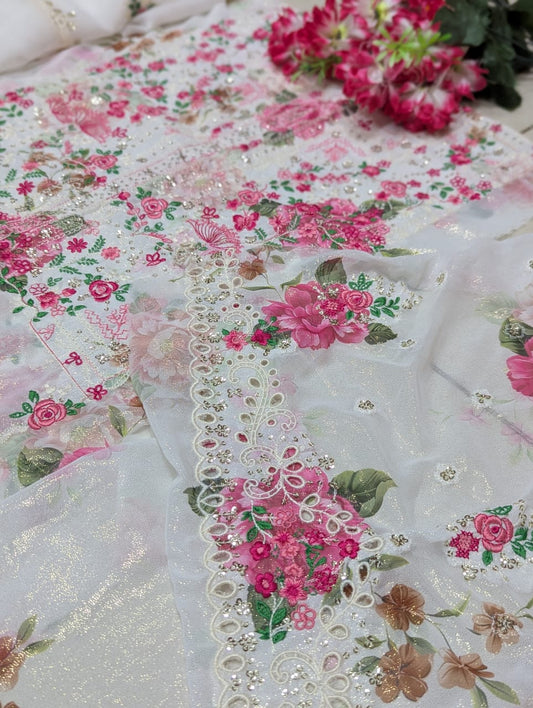 Balochi Dress ChikanKari